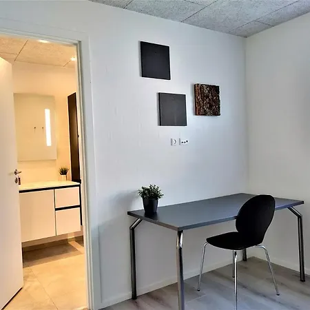 Master W/ Private Bathroom In Stylish House *