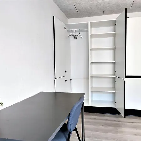 Master W/ Private Bathroom In Stylish House Homestay
